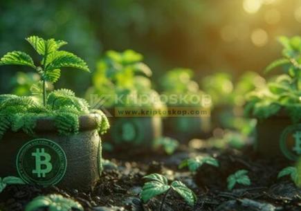 Yield Farming Nedir? ✔️ En İyi 10 Yield Farming Protokolü