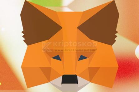 MetaMask Nasıl Kurulur? ✔️ Özellikler ve Güvenlik (2025) 