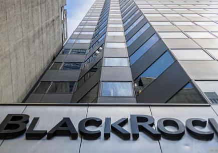 Dünyanın En Büyük Varlık Yöneticisi: BlackRock Nedir ve Ne İş Yapar? ⚡